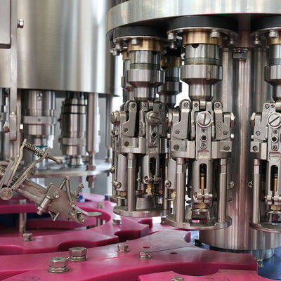 Inquiry for Customized Beer Filling Machine & Best Price